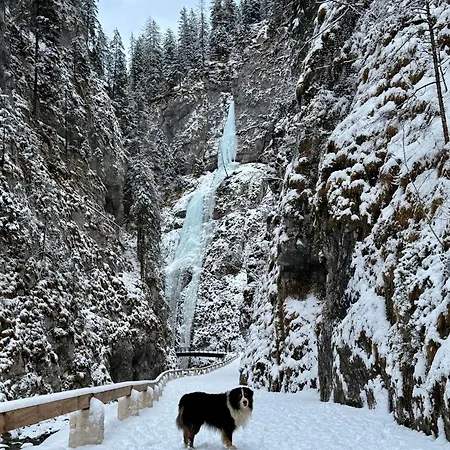 Ciesa La Verda * Rocca Pietore
